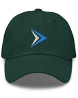 NLB Cap