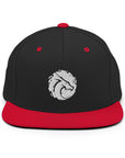 Basic Snapback