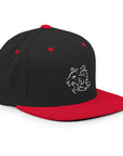 TeamWS Snapback