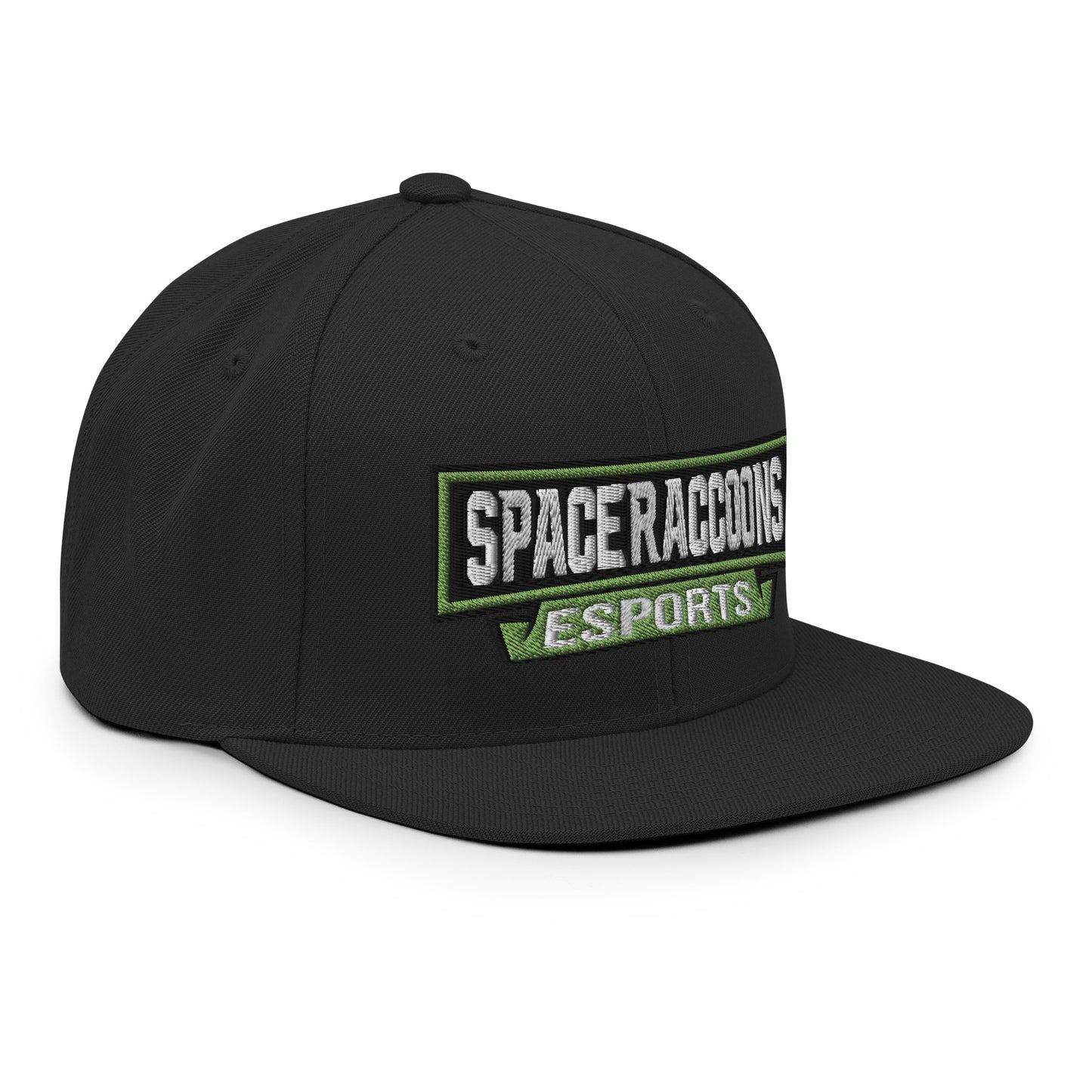 SpaceRaccoons Snapback