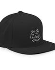 TeamWS Snapback