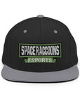 SpaceRaccoons Snapback