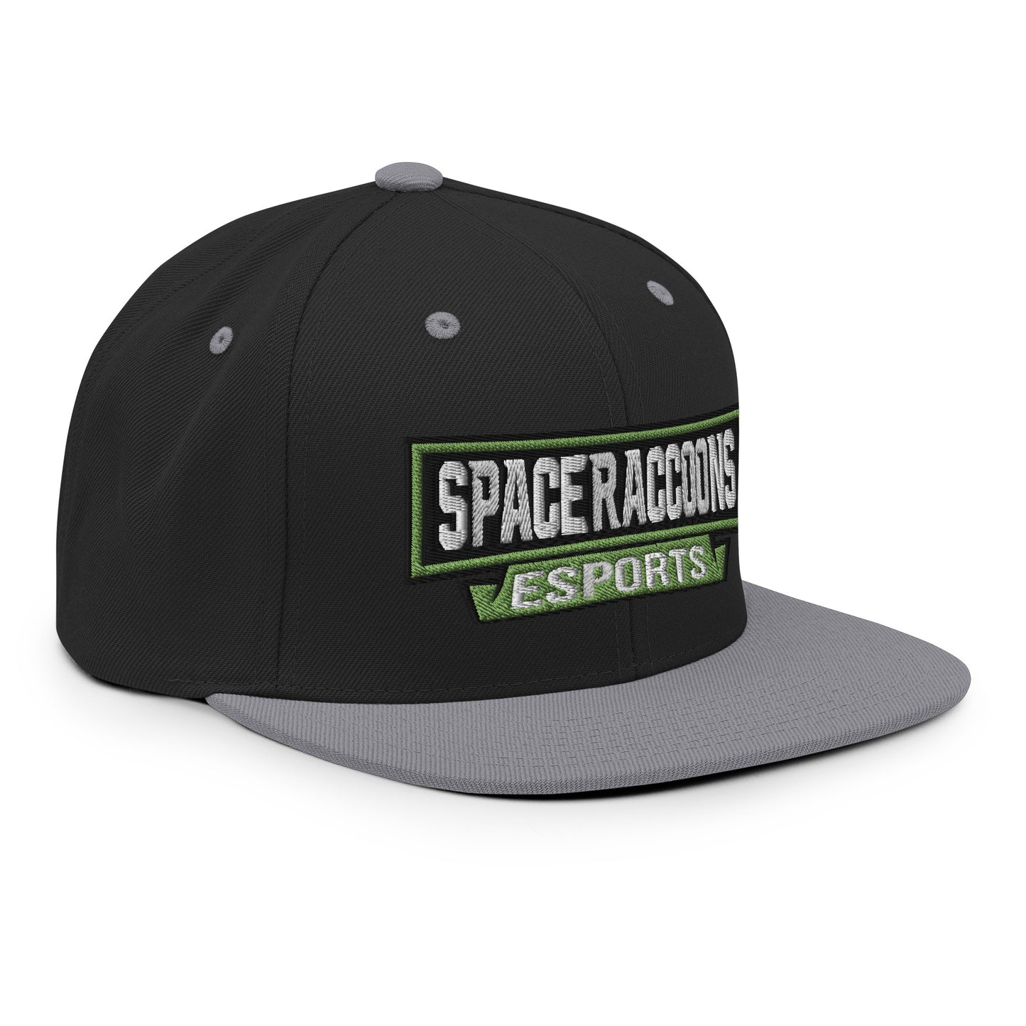 SpaceRaccoons Snapback