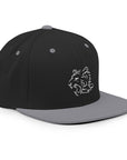 TeamWS Snapback