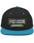SpaceRaccoons Snapback