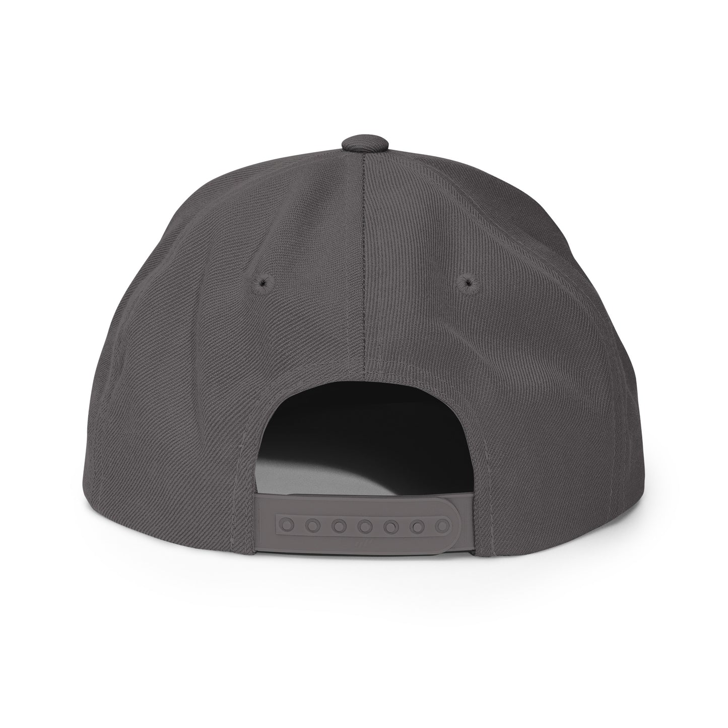 SpaceRaccoons Snapback
