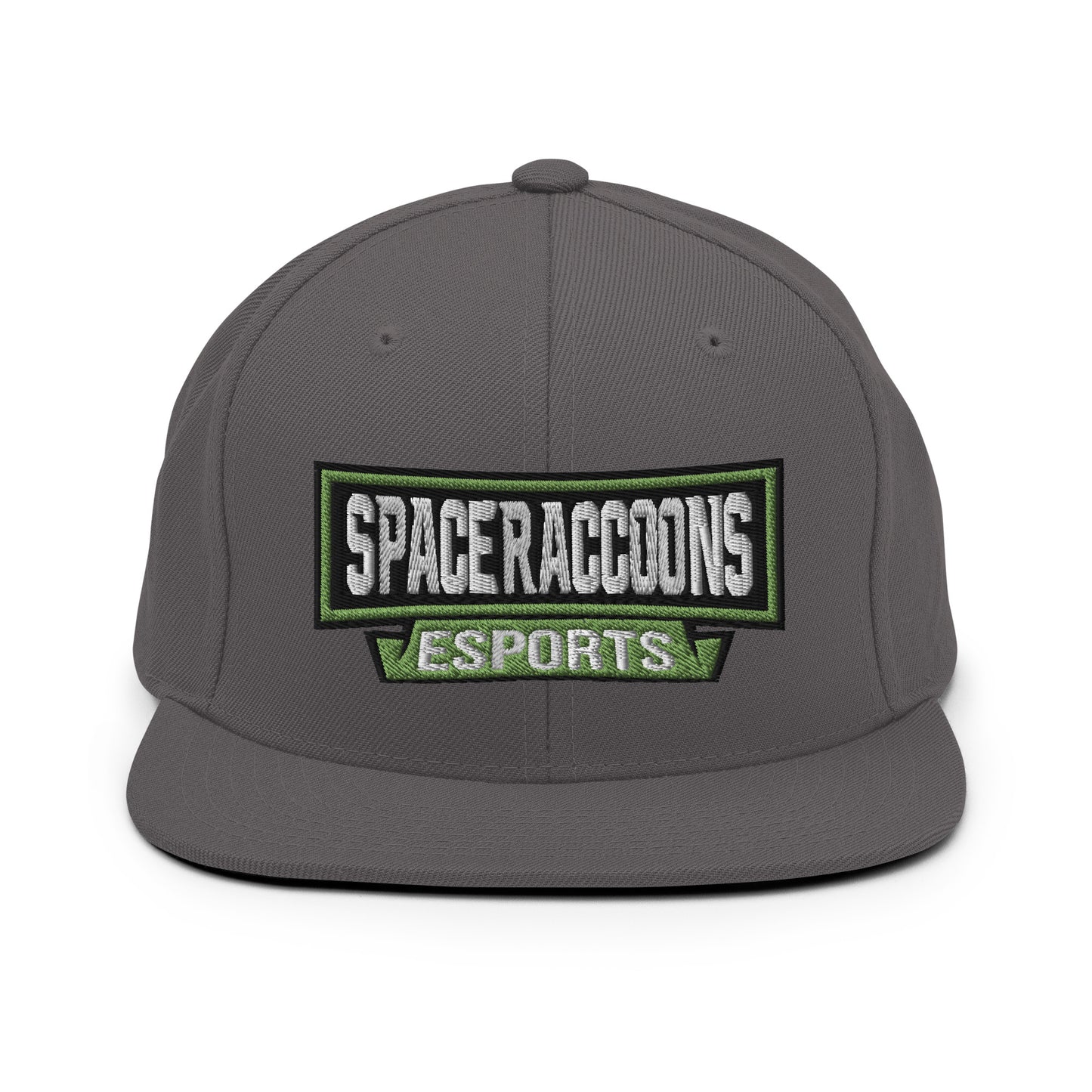 SpaceRaccoons Snapback