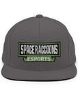 SpaceRaccoons Snapback