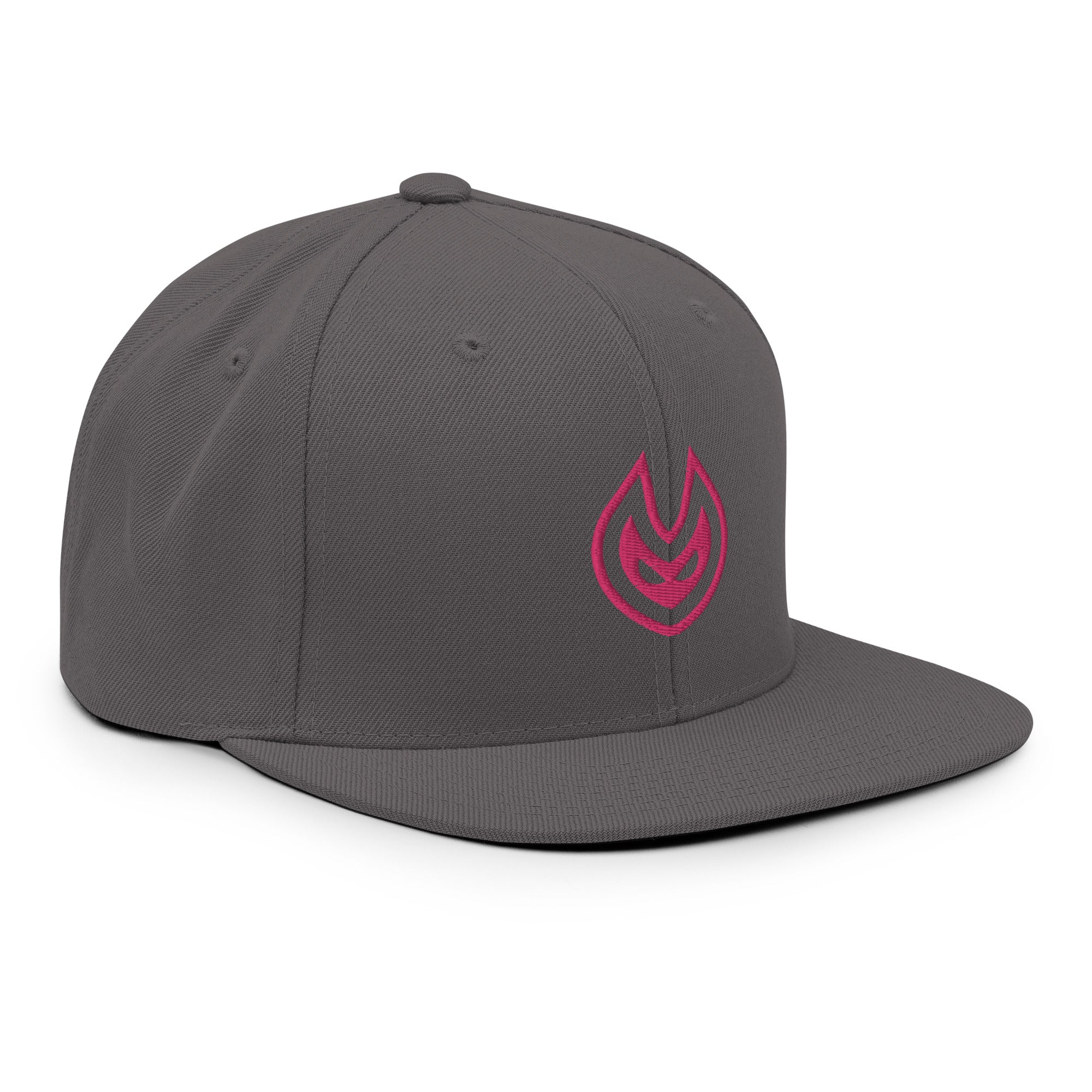 VISION Snapback