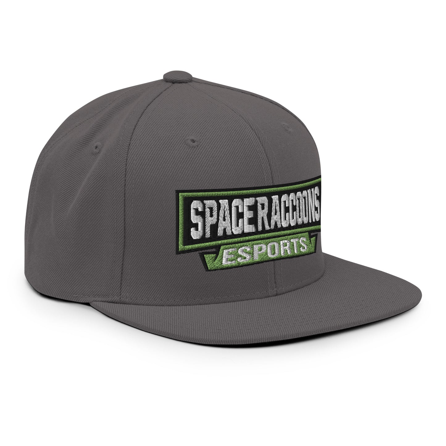 SpaceRaccoons Snapback