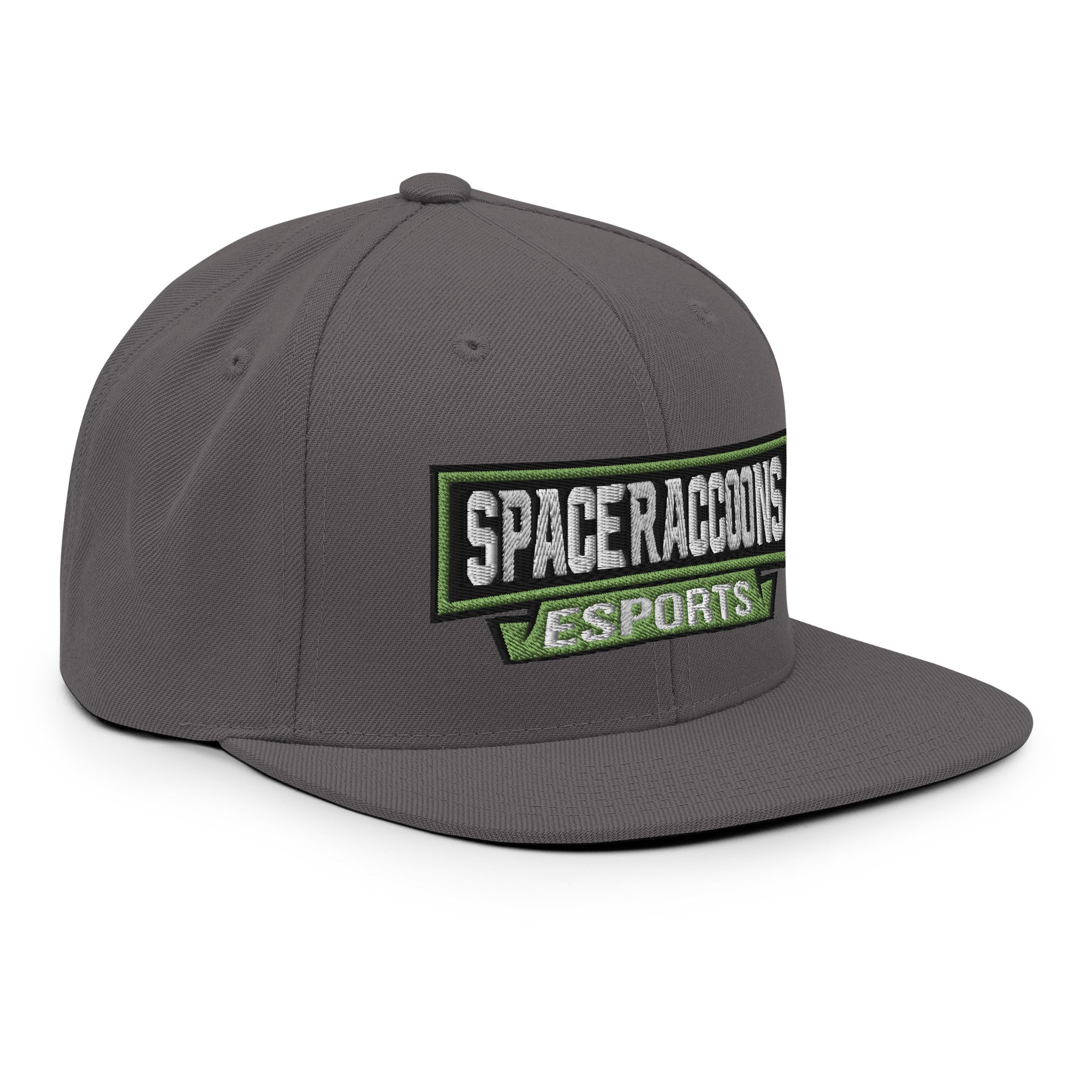 SpaceRaccoons Snapback