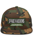 SpaceRaccoons Snapback