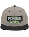 SpaceRaccoons Snapback