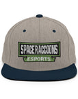 SpaceRaccoons Snapback