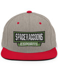 SpaceRaccoons Snapback
