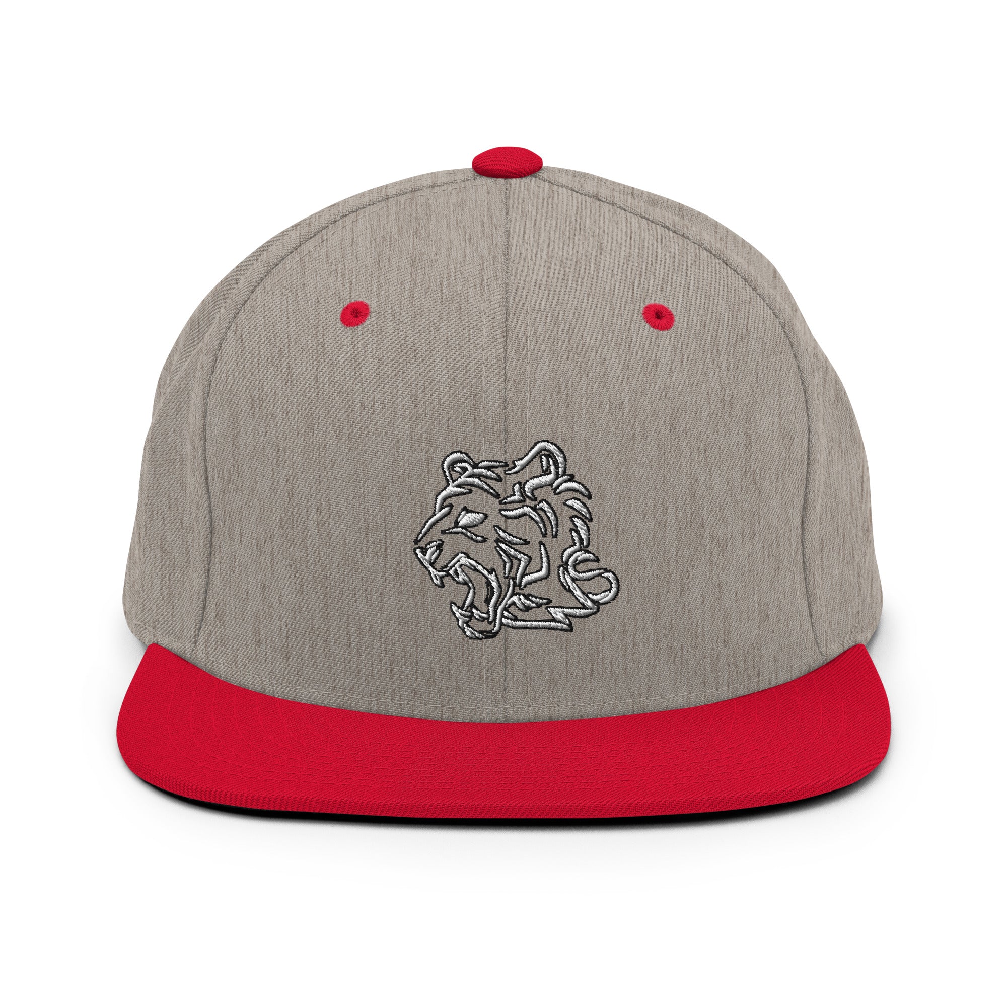 TeamWS Snapback