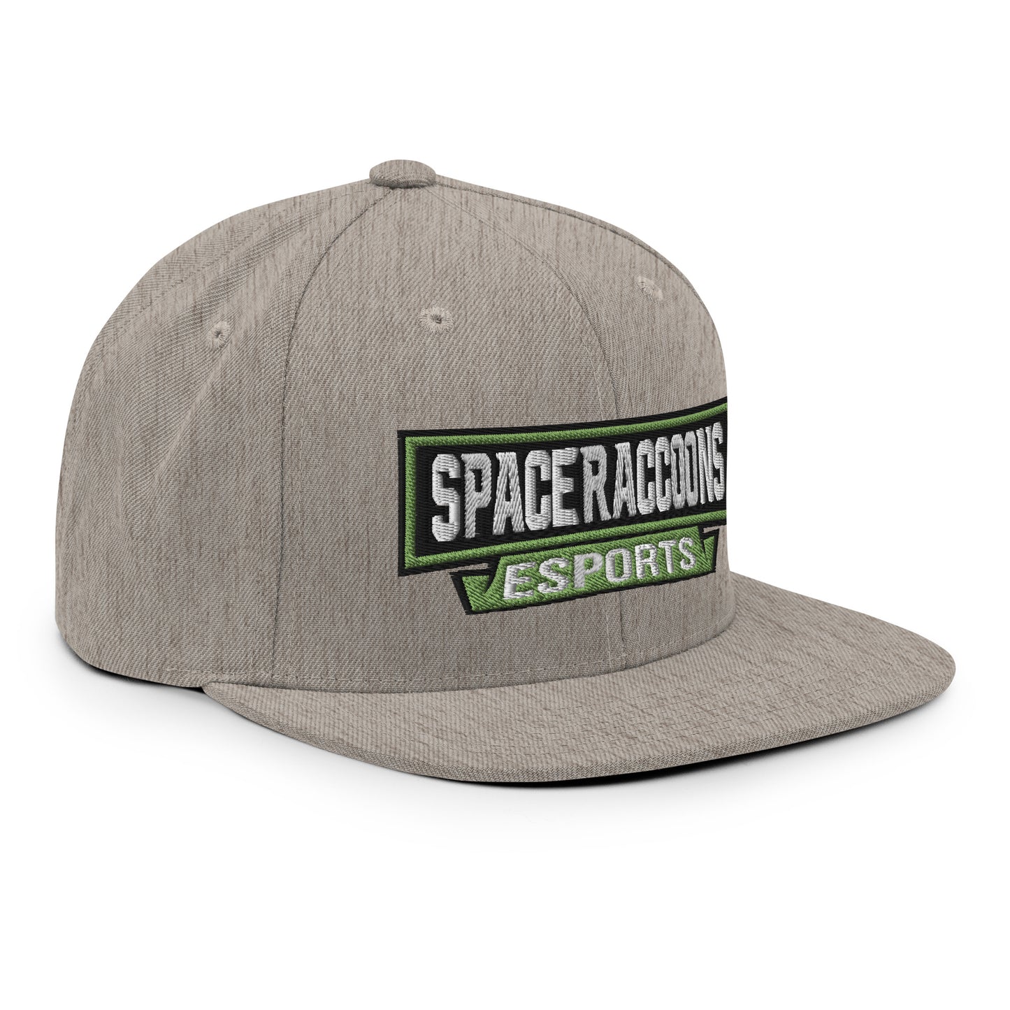 SpaceRaccoons Snapback