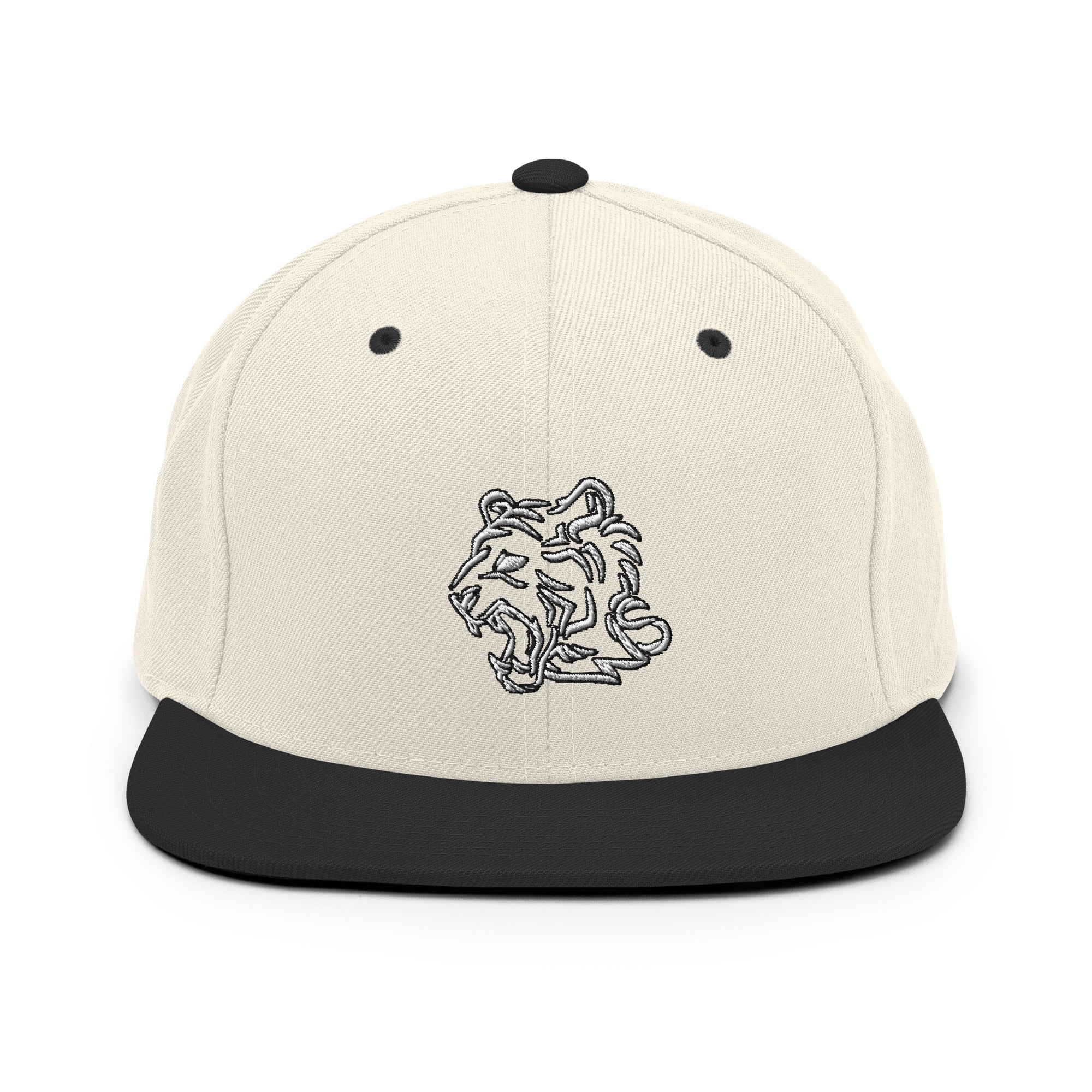 TeamWS Snapback