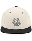 TeamWS Snapback