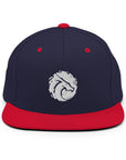 Basic Snapback