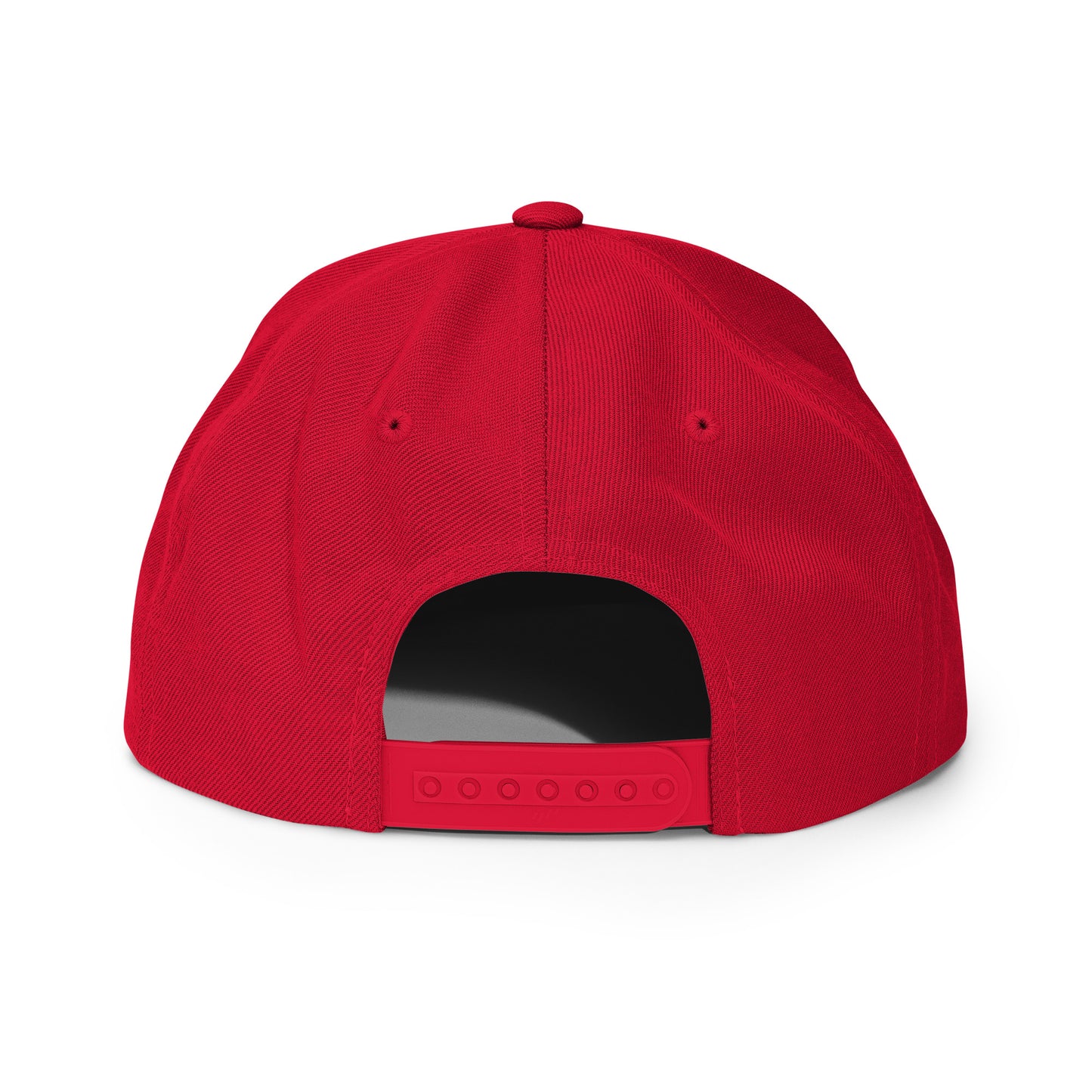 SpaceRaccoons Snapback