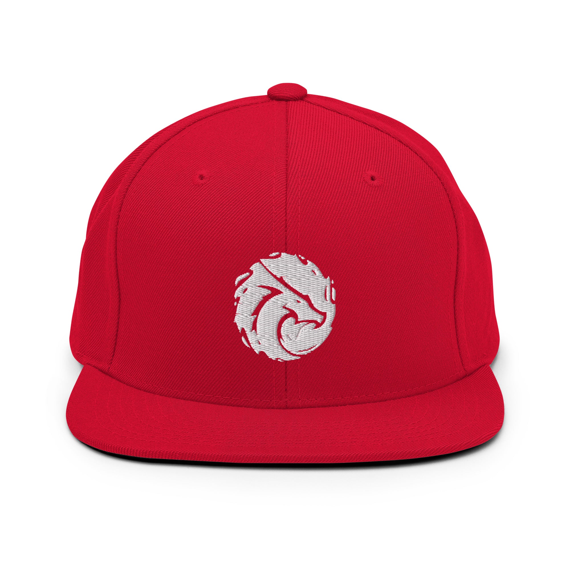 Basic Snapback