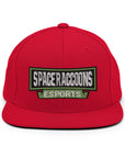 SpaceRaccoons Snapback