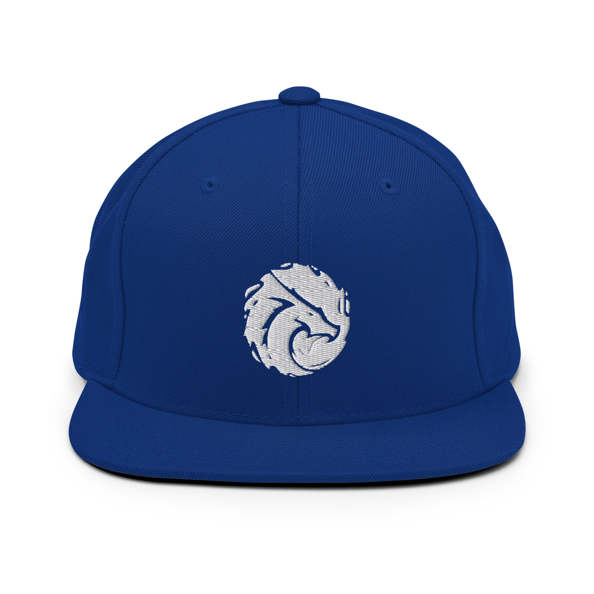 Basic Snapback