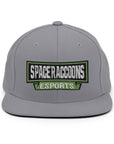 SpaceRaccoons Snapback