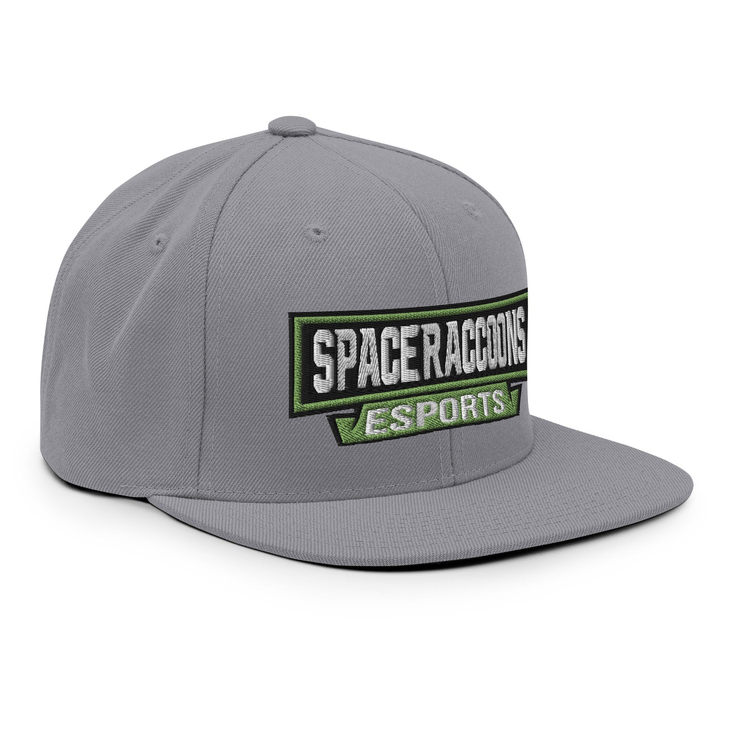 SpaceRaccoons Snapback
