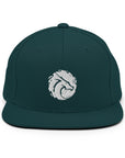 Basic Snapback