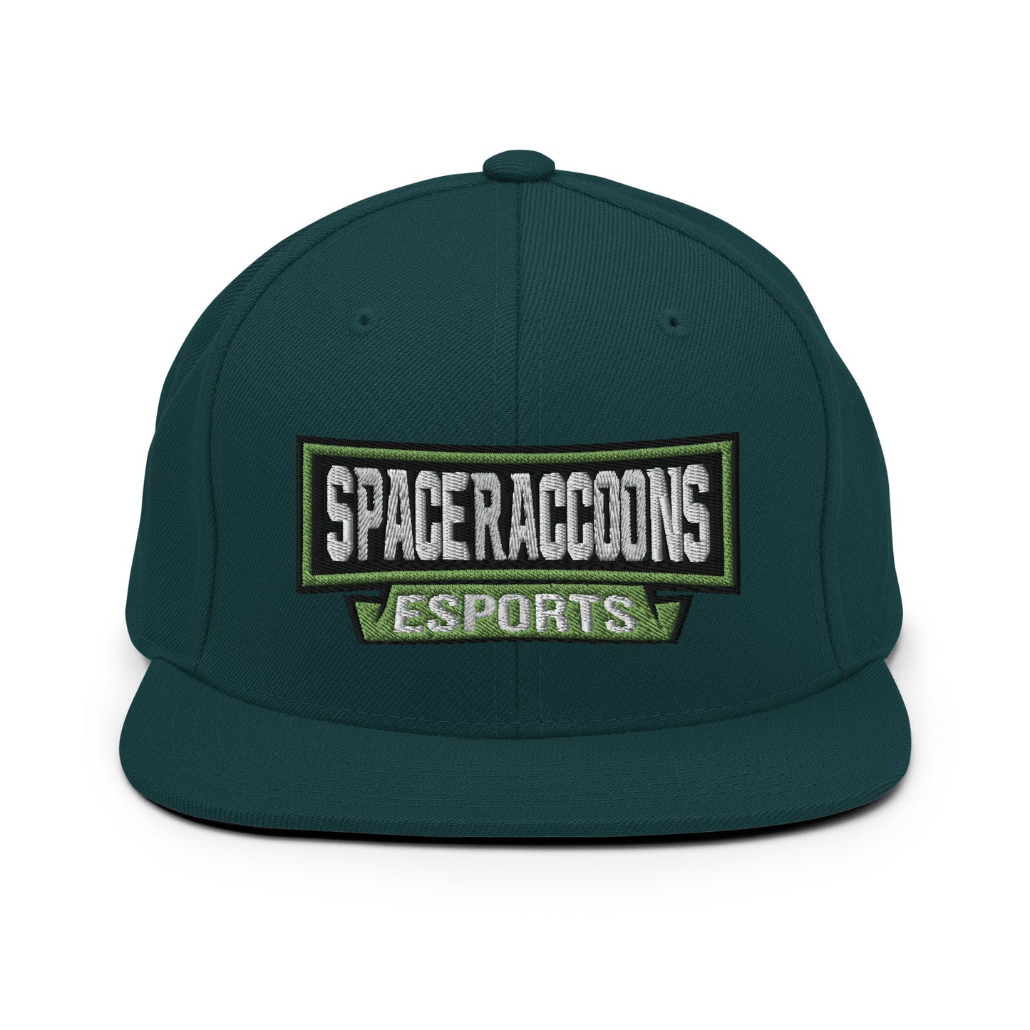 SpaceRaccoons Snapback