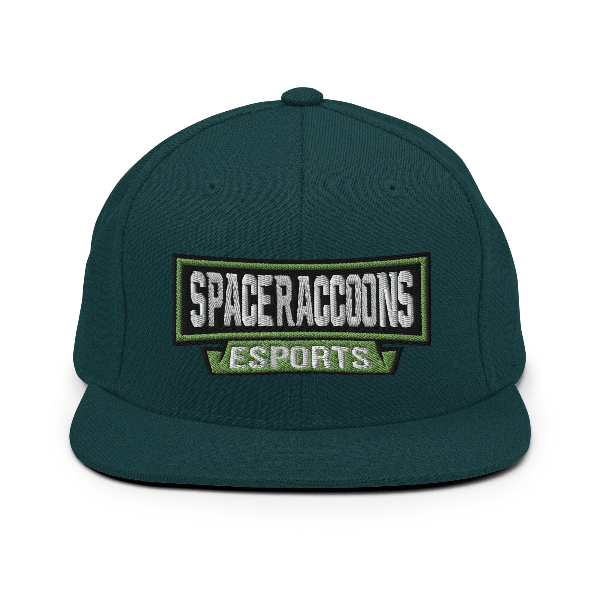 SpaceRaccoons Snapback