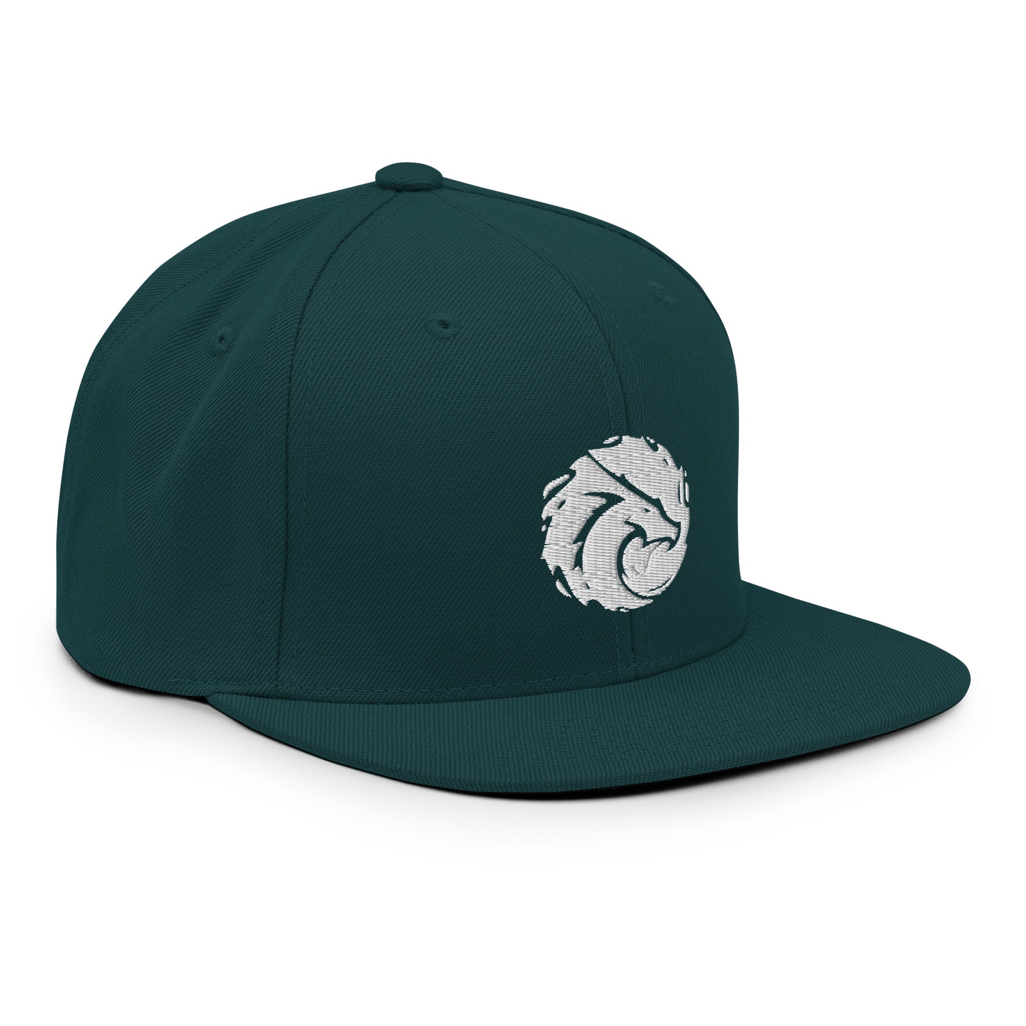 Basic Snapback