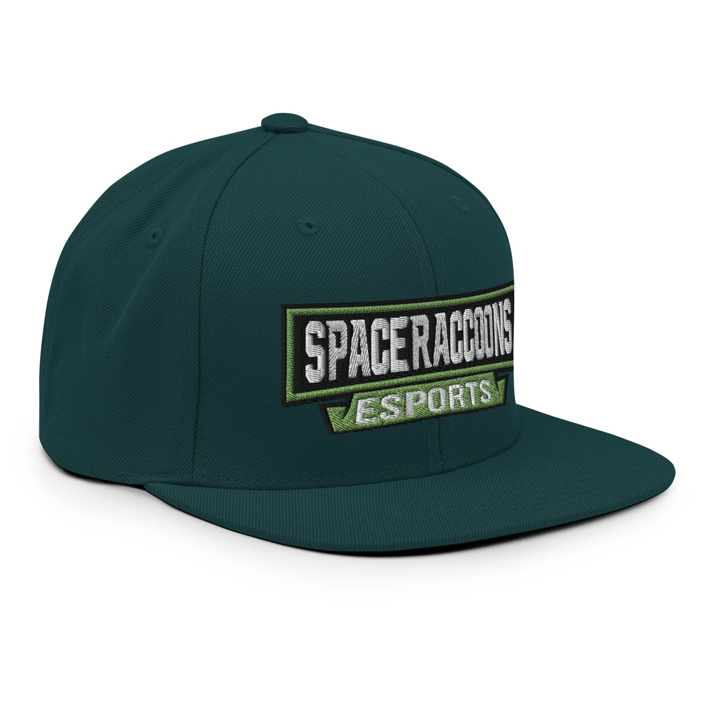 SpaceRaccoons Snapback