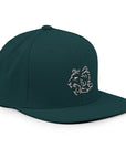 TeamWS Snapback