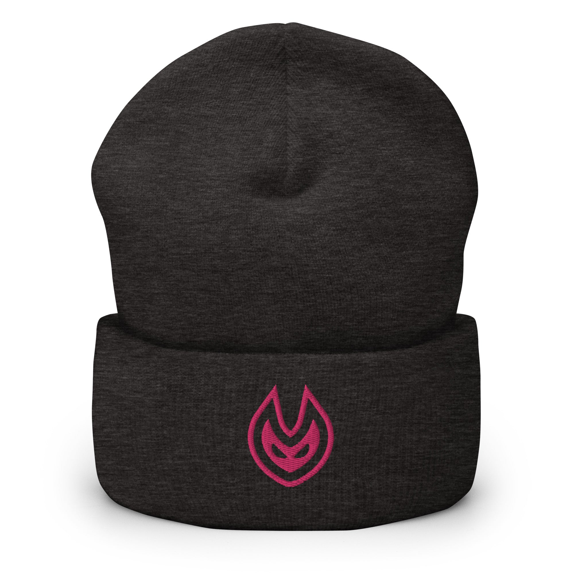 VISION Beanie