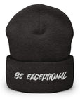 Exceptional Beanie