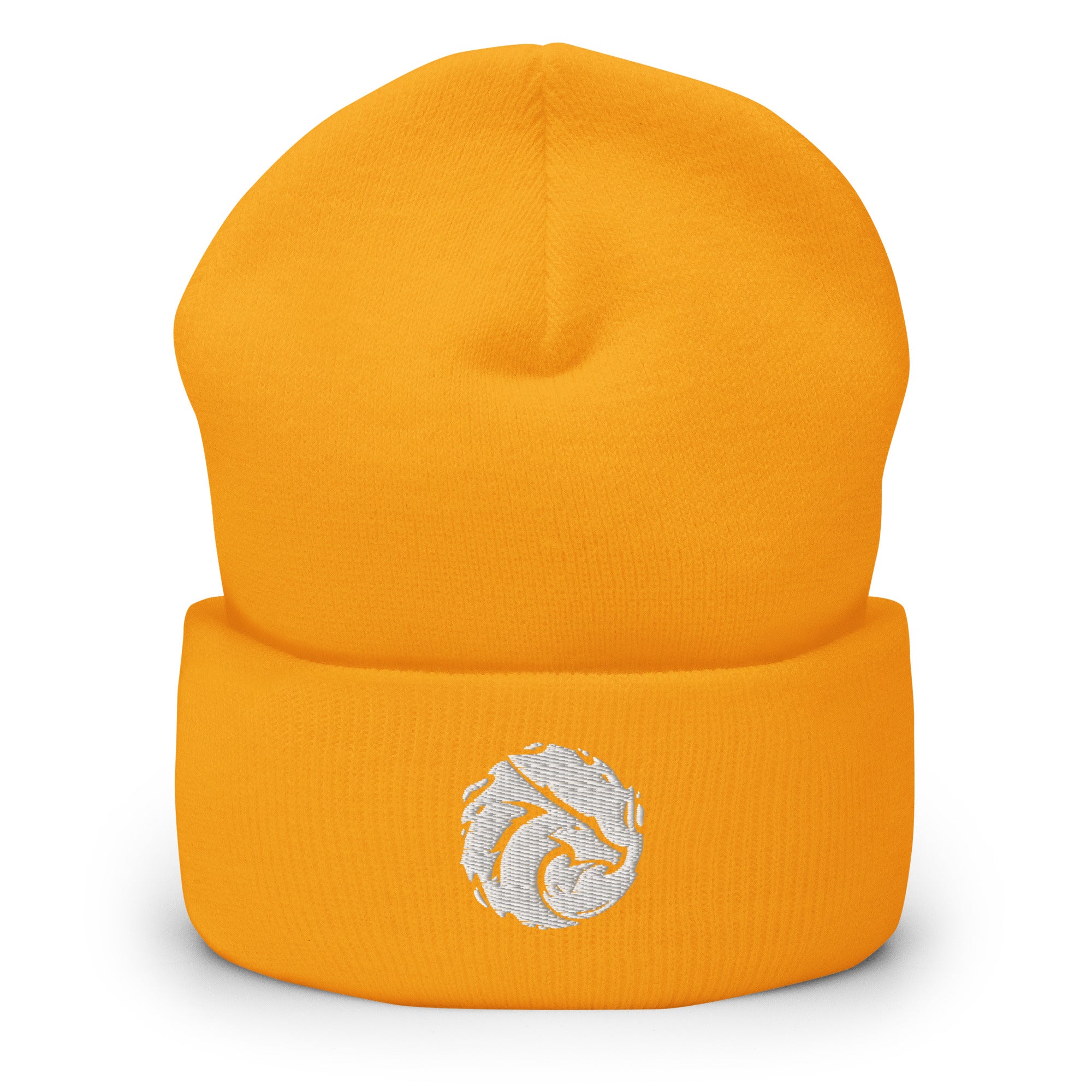 Basic Beanie