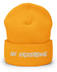 Exceptional Beanie
