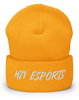 MT1 Beanie