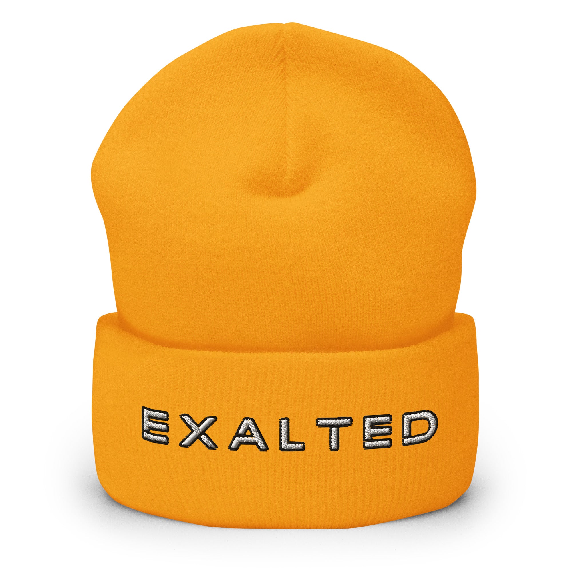 Exalted Beanie
