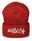 Evokia Beanie