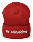 Exceptional Beanie