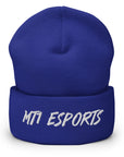 MT1 Beanie