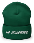 Exceptional Beanie