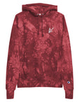 Ancoris Champion Hoodie