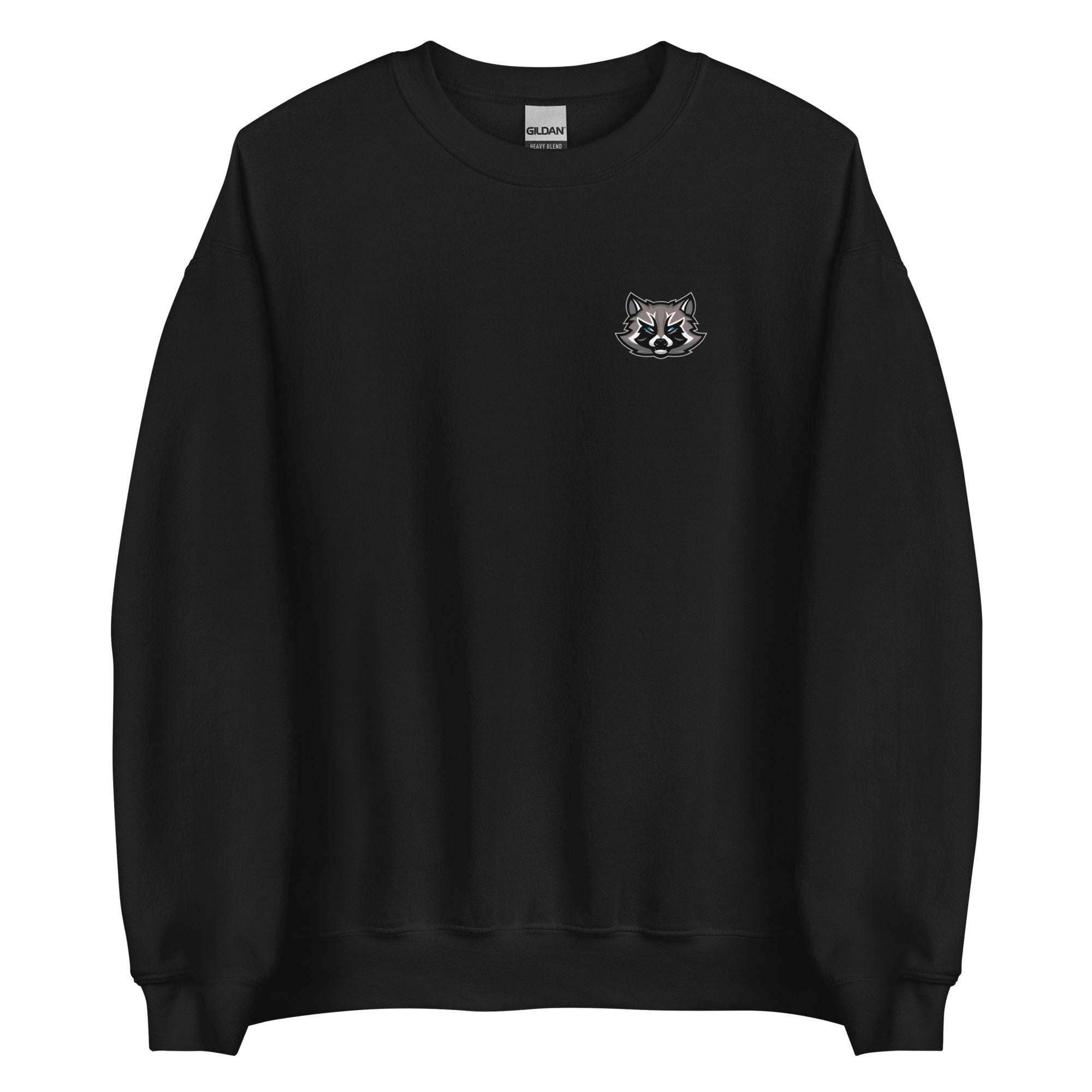 SpaceRaccoons Sweatshirt