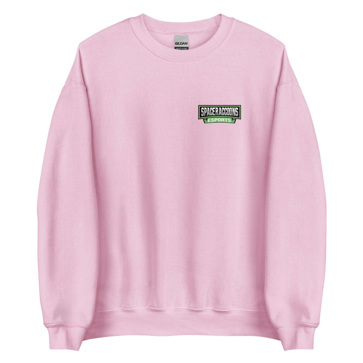 SpaceRaccoons Sweatshirt