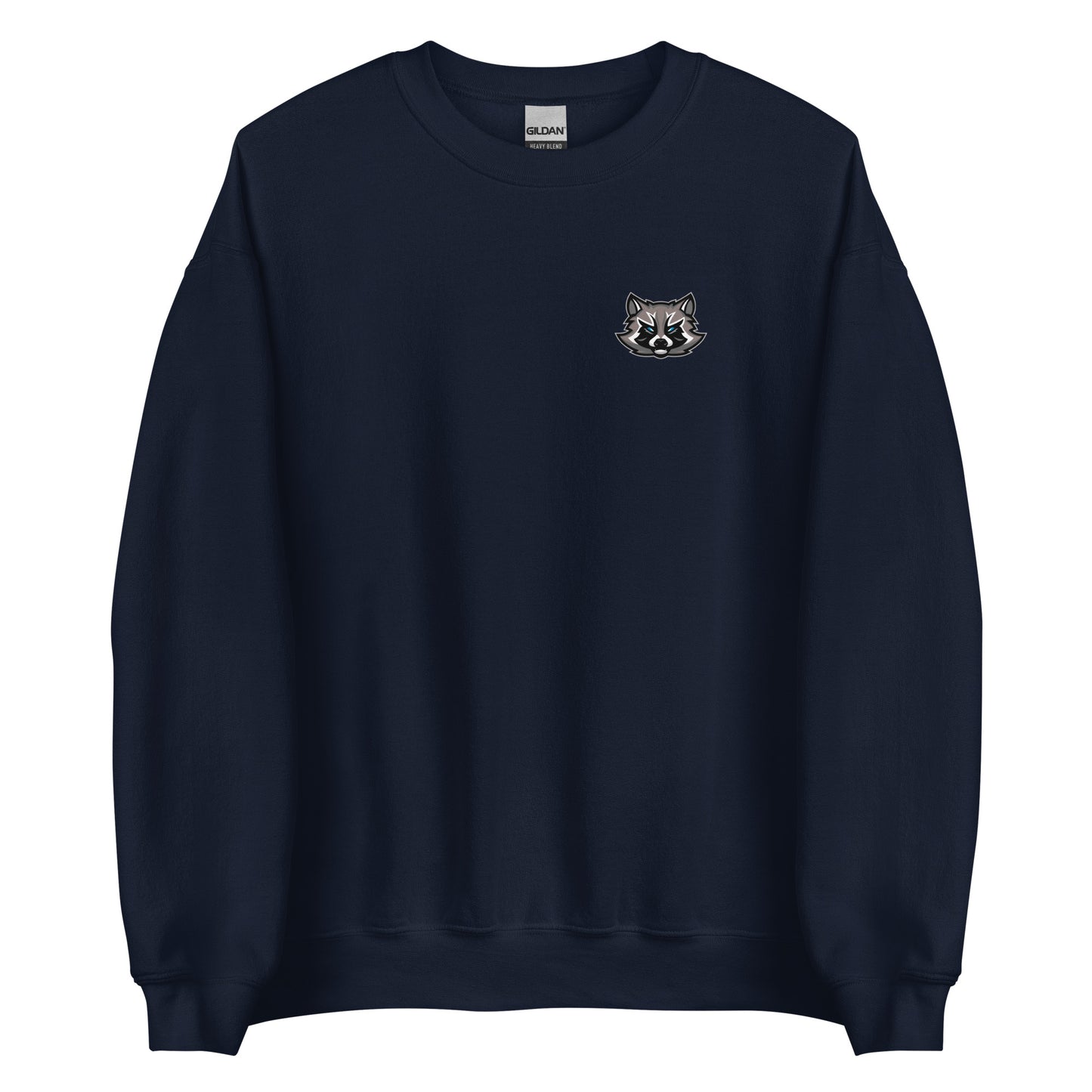SpaceRaccoons Sweatshirt